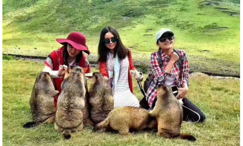 游客風(fēng)采 (9)