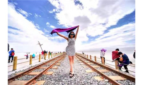 游客風(fēng)采 (5)