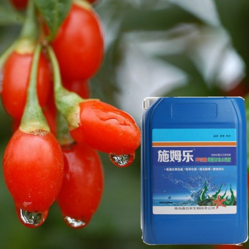 枸杞專用生根劑 施姆樂甲殼素海藻有機水溶肥10kg/桶