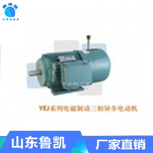 山東電機  三相異步電動機 電機廠家