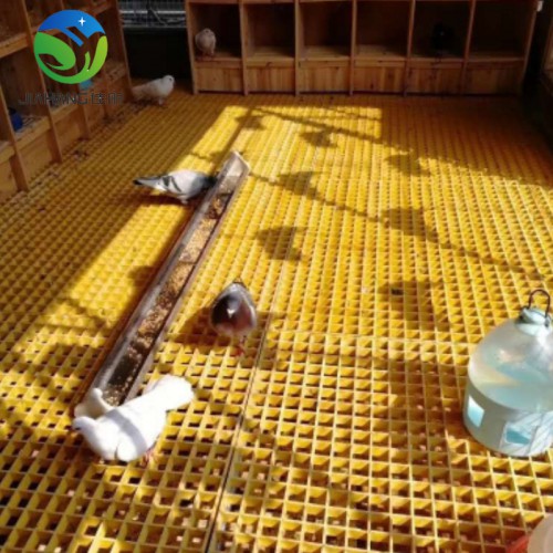 養(yǎng)殖場漏糞板優(yōu)點(diǎn)   鴿棚網(wǎng)格板   鴿舍地網(wǎng)