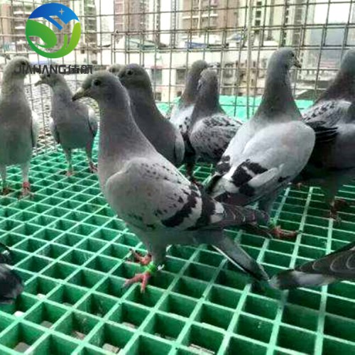 小孔玻璃鋼格柵19*19*30 樹篦子 洗車房養殖場格柵地板