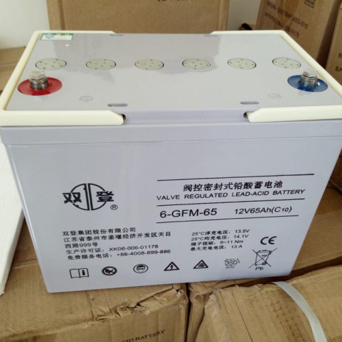 雙登蓄電池12V65AH原廠正品免維護(hù)鉛酸蓄電池UPS電池