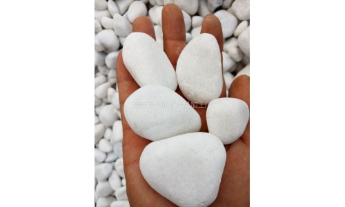 白色鵝卵石 (8)