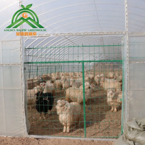 熱鍍鋅鋼管養(yǎng)殖大棚骨架生產(chǎn)廠家 養(yǎng)殖大棚造價(jià)