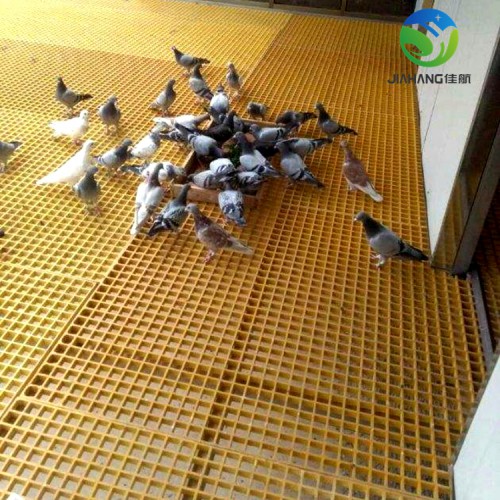 鴿舍篦子地網(wǎng) 鴿籠漏糞用地網(wǎng)格柵 鴿棚玻璃鋼格柵廠家