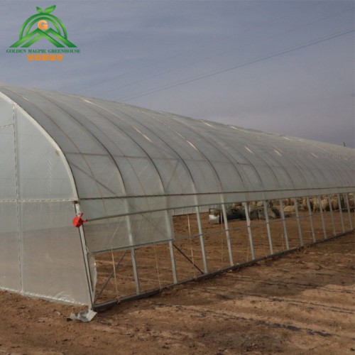 養豬大棚   新型鋼架養豬大棚   養豬大棚骨架生產廠家