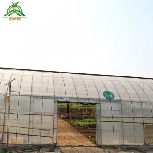 薄膜連棟溫室 廉價(jià)塑料薄膜連棟溫室