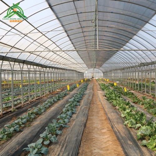 塑料薄膜連棟溫室  連棟溫室建設