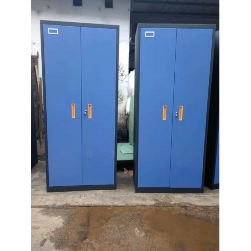 源頭廠家 單人兩門衣柜 員工宿舍衣柜 鐵柜 量大從優