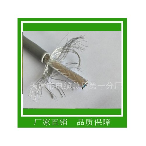 RS485總線(xiàn)電纜 國(guó)標(biāo)RS485總線(xiàn)電纜價(jià)格 廠(chǎng)家直銷(xiāo)