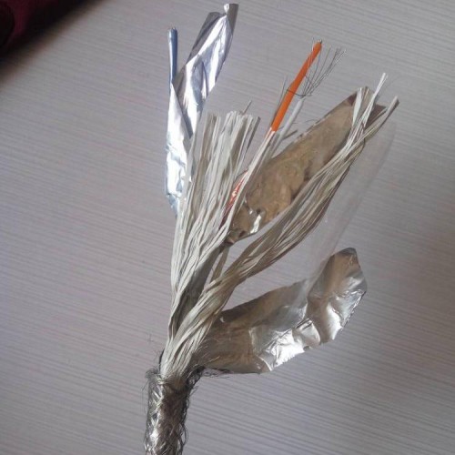 總線電纜GS-HRPVSP 國標GS-HRPVSP總線電纜