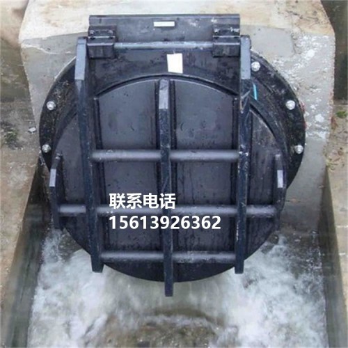 鑄鐵拍門 高壓鑄鐵拍門 鑄鐵鑲銅拍門 海鷹水利 鑄鐵拍門圖片