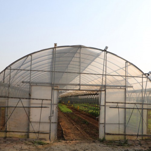 薄膜連棟溫室生產廠家  薄膜連棟溫室