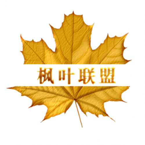 團隊優勢＆扶持