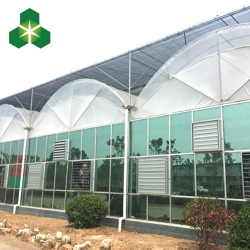 連棟薄膜溫室大棚 薄膜連棟溫室大棚工程 連棟薄膜溫室報價