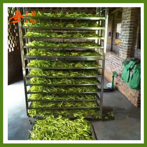 脫水蔬菜烘干機