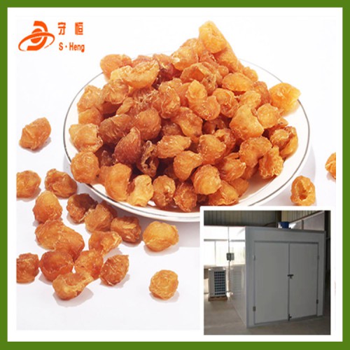 龍眼烘干機