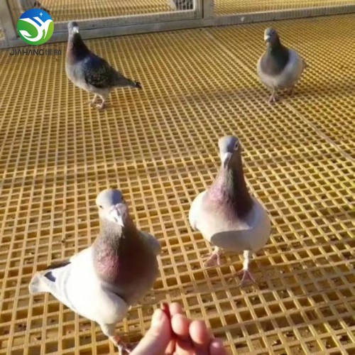 玻璃鋼防腐抗壓格柵臺(tái)安鴿舍鴿棚地網(wǎng)格柵樹(shù)篦子玻璃鋼格柵