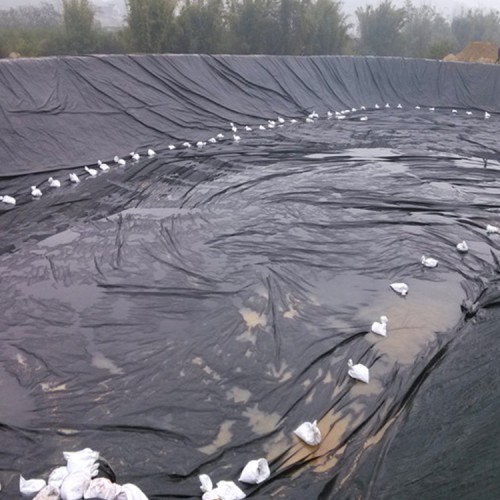 防滲土工膜 藕池土工膜