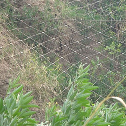 主動防護網(wǎng) 廠家價格