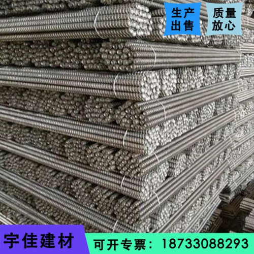 新型國標穿墻絲 通絲穿墻螺桿 螺絲桿粗牙細牙對拉螺桿