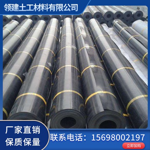 山東土工膜 土工膜生產廠家