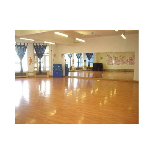 芭蕾舞舞蹈運動木地板