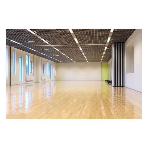 俄勒岡松木運動木地板