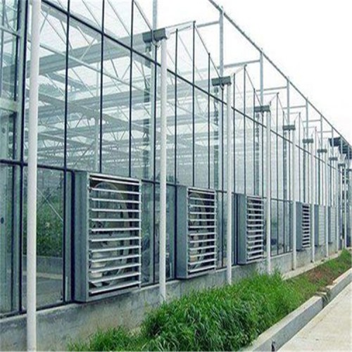 玻璃溫室大棚 玻璃大棚 溫室大棚 國(guó)聚溫室大棚