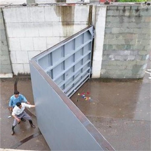 海鷹 豎梁式人字門 大跨度人字閘門 耐腐蝕性強 密封性好