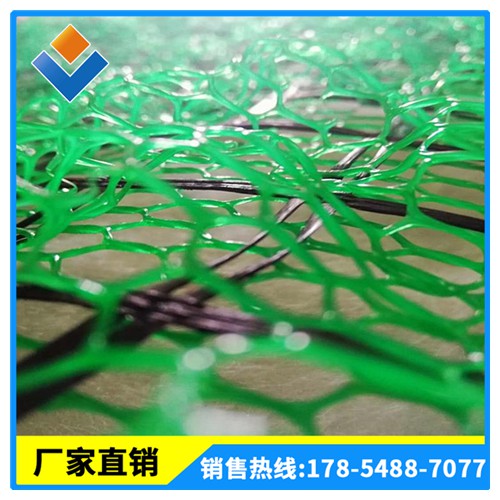 三維植被網(wǎng) EM2-5護(hù)坡綠化 河道坡面專用 植被網(wǎng)直供