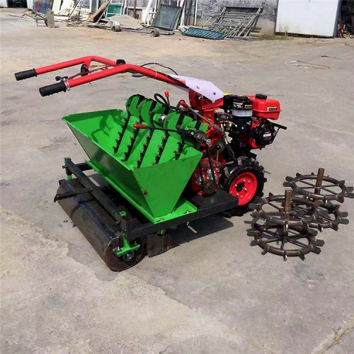 大蒜種植機(jī) 山東大蒜播種機(jī) 株距可調(diào)種蒜機(jī)
