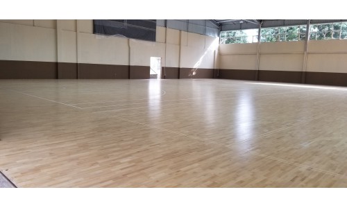 中山體育指導協會香山體育館項目 (6)