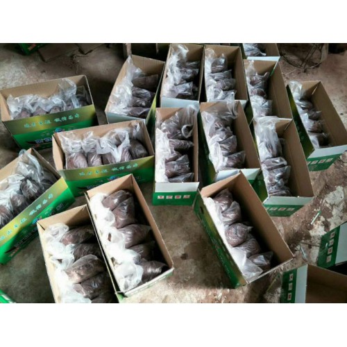 防火泥 國標防火泥廠家生產(chǎn)