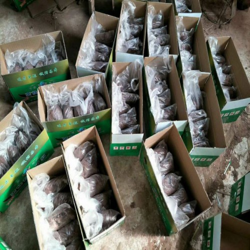 互利防火 防火泥空調(diào)孔密封封堵一公斤價格