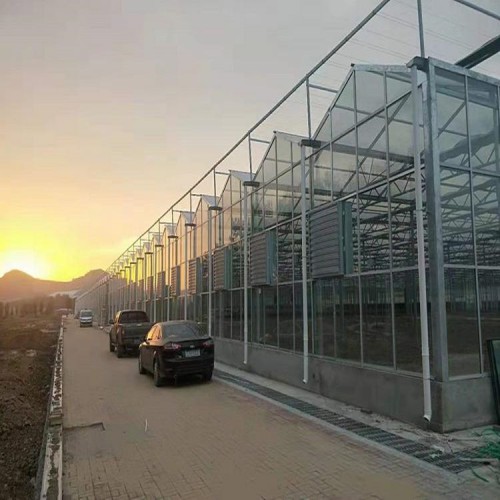 精良的溫室大棚供應(yīng)商 陽(yáng)光板溫室承建商 國(guó)聚溫室