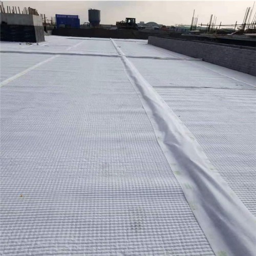 虹吸系統 車庫頂板虹吸排水系統