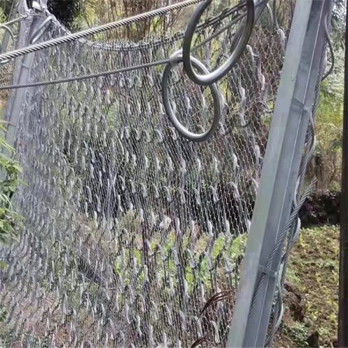 邊坡防護(hù)網(wǎng)價(jià)格 主動(dòng)被動(dòng)防護(hù)網(wǎng)多少錢一米