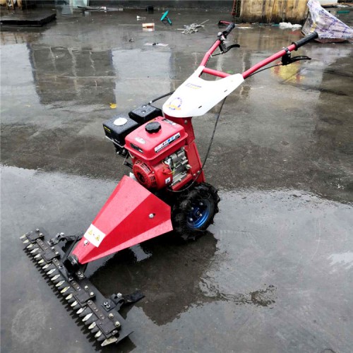 草坪修剪機 手推自走式剪草機 果園剪草機廠家