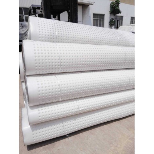 供應(yīng)營(yíng)口20高排水板 塑料排水導(dǎo)水板 嘉海新型排水材料