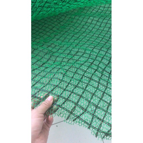三維植被網 復合土工格柵