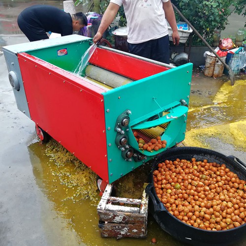 鮮核桃去皮機 小型青皮核桃剝殼機 薄皮鮮核桃脫皮機