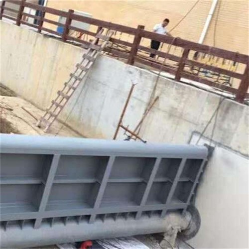 海鷹 保護河床式鋼壩 液動底軸鋼壩 底軸旋轉式鋼閘門