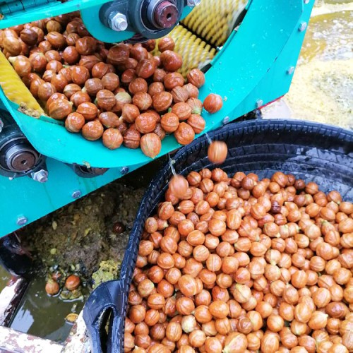 青核桃去皮機 新疆青核桃脫殼機 核桃扒皮機直銷