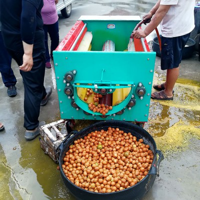 剝青皮核桃機 青核桃扒皮脫皮機 青皮核桃剝殼機