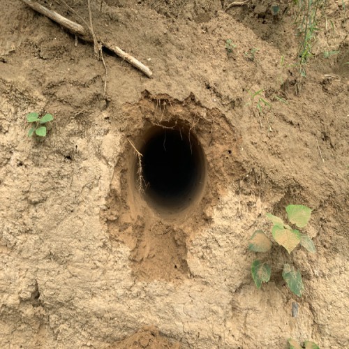 全自動橫向鉆孔機 橫向豎向打孔機設備