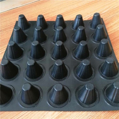 排水板廠家 塑料排水板