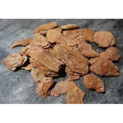 園林綠化松樹皮