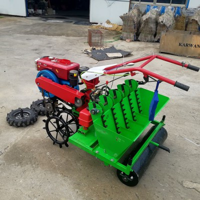 大蒜播種機 小型大蒜播種機 株距可調播蒜機